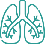 Kilkenny Physiotherapy Excercise Conditions We Treat